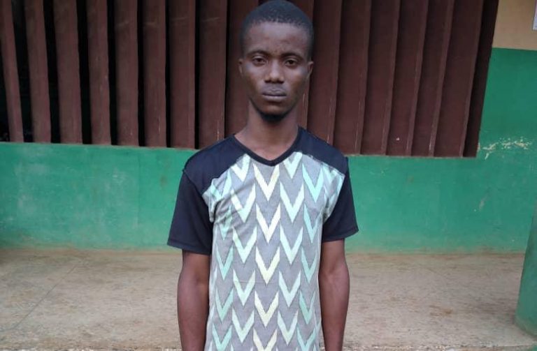 Another dreaded cult gang leader arrested in Lagos