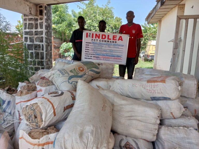 Sokoto village head, 10 others arrested over 991,320 opioid pills, 1,251kg skunk