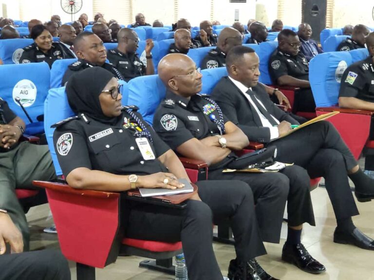 IGP draw action plan for governorship election, says 203 electoral offenders arrested  