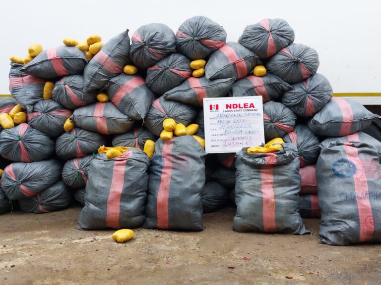 NDLEA intercepts 5, 344kg imported skunk consignments in Lekki, Recovers 834.2kg of same substance from two ladies