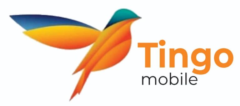 Read Full Details of Tingo Group’s Response to Fresh Allegations Against It By ‘Short sellers’ 