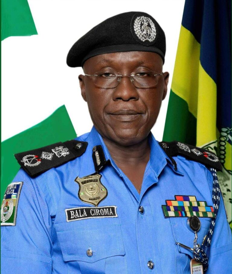Police deploy operatives over presidential tribunal judgement, as IGP redeploys Mba, newly promoted DIG’S, others