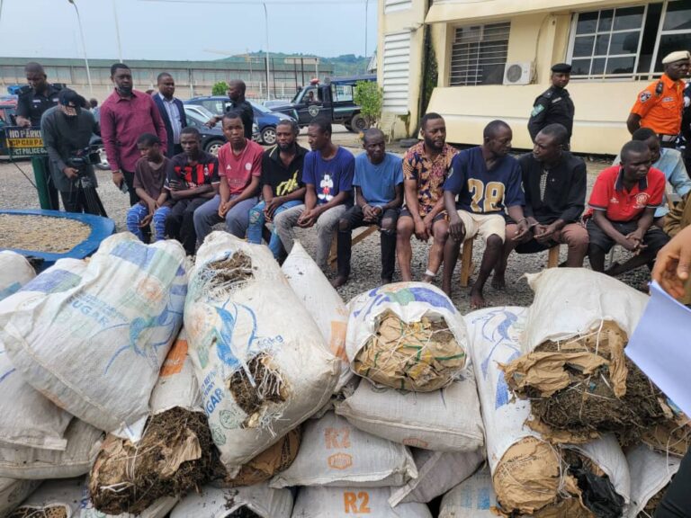 Police parade murder suspect, nabs Abuja ‘Indian Hemp’ traders