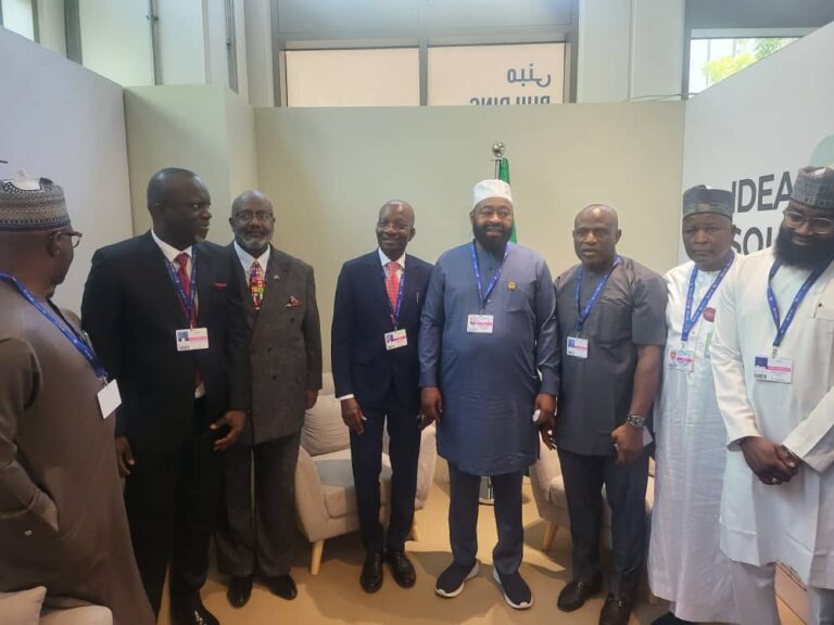 Why IGP Egbetokun Is Attending COP28