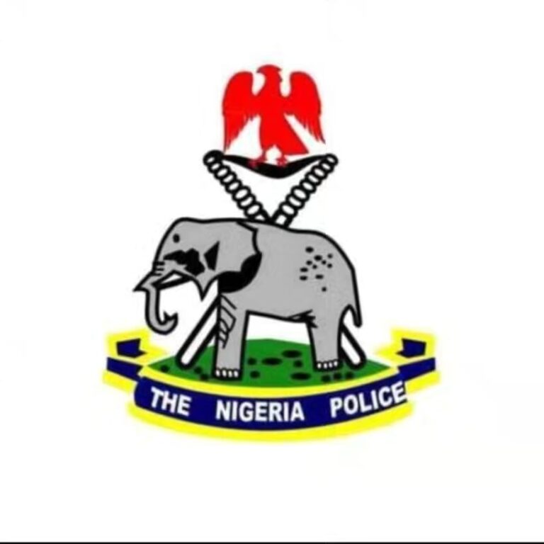 IGP reiterates ban on us of POS, others within police stations 