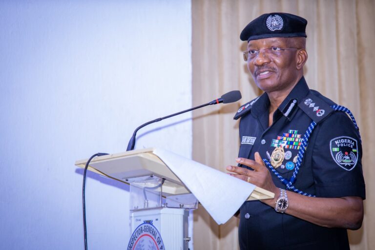 National security review key to combating vandalism, oil theft -IGP