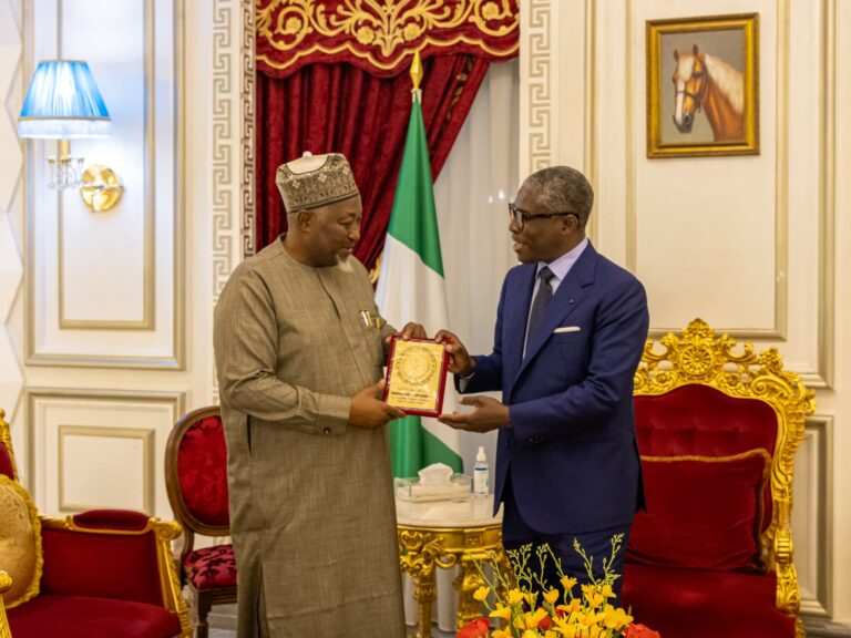 See stunning photos of Defence Minister’s visit to Guinea Vice president