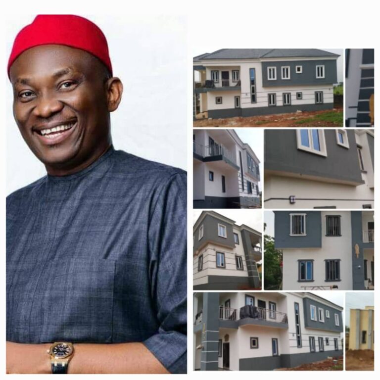 Harvests of Palaces, Castles as Delta Residents Appreciate Elumelu for Attracting Projects To Communities 