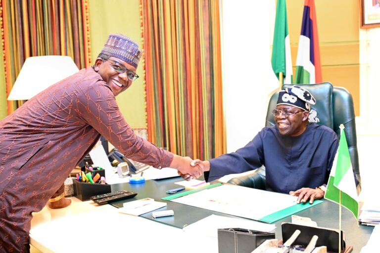 Matawalle briefs Tinubu on security situation in North-West, lauds Military