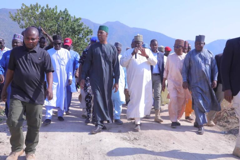 Governor Zulum reinstate 23 suspended Health Workers, directs the deployment of  Doctors, Nurses to General Hospita